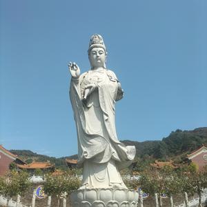 文明养狗头像