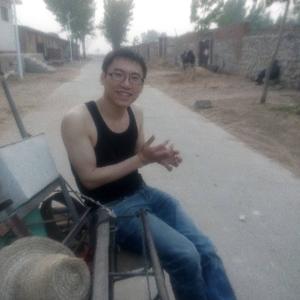 白狼Shmily头像