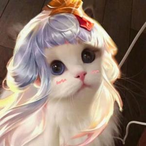 七彩猫头像