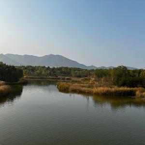 一帆风顺头像