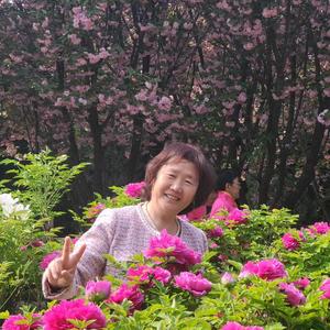 淡泊的风声MD头像