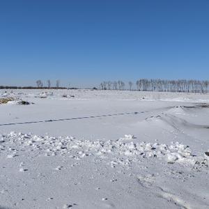 踏雪寻梅67811头像