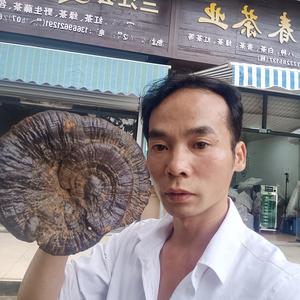 少数民族高山茶头像