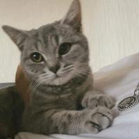 情话下雨了a头像