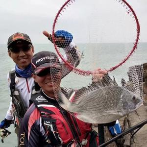 追鲷沈少头像