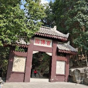 前行在前行头像