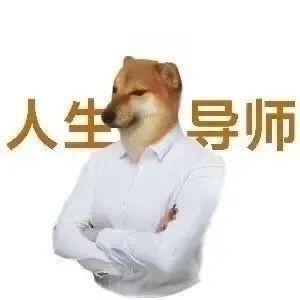 逍遥君不现头像