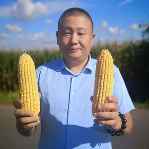 威海玉米哥头像