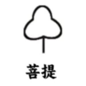 倔犟的菩提子头像