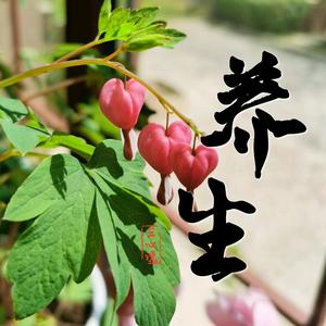 知新养生头像