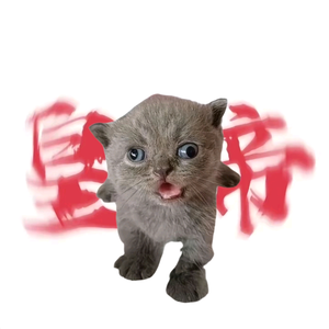 俺是猫老大头像