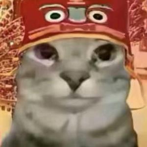 SEWEO头像
