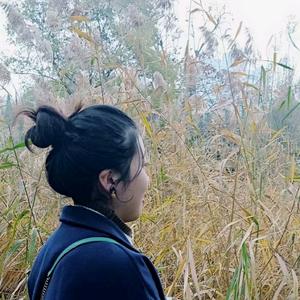 甜甜的太阳光 头像