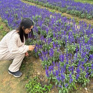 长空姐姐在南美洲智利头像