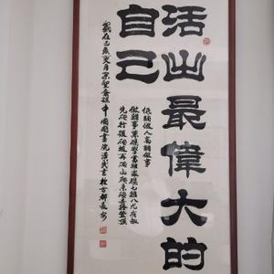 活捉猫头鹰头像