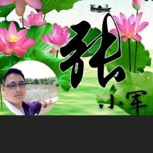 张小军2Z1a头像
