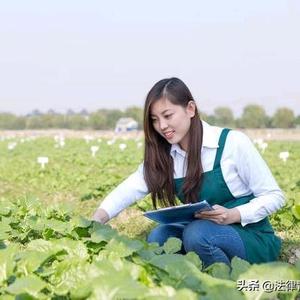 农业之星星头像