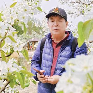 极客伊斯特尔2头像