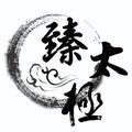 西安臻太极头像