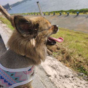 @情天头像