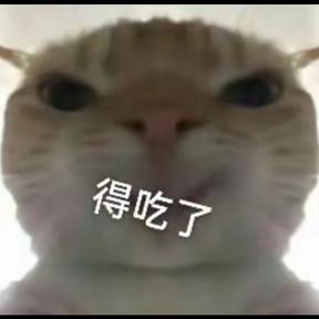 猫猫大军头像