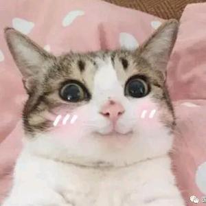 油膜搞笑养生君头像