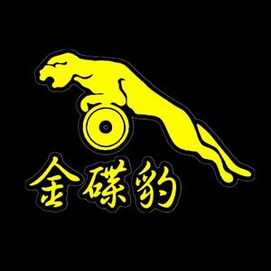 xas金碟豹头像