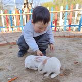 一零后小奶狗麻麻头像