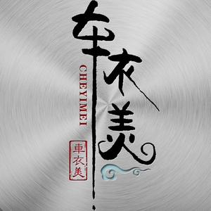 车衣美隐形车衣旗舰店头像