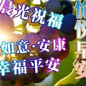 全家平安7v7o头像