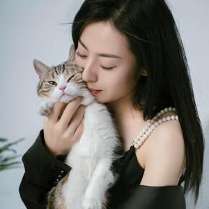 西西李的猫头像