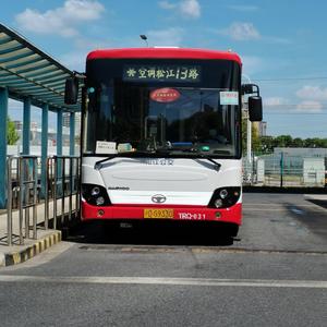 松江13R头像