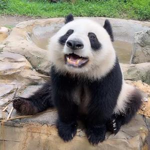 24mL头像