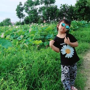 花下拍照的游人 头像