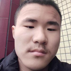 郑清华