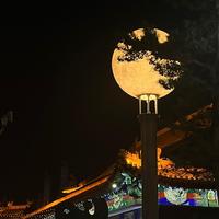 旅行家巴里3F8h头像