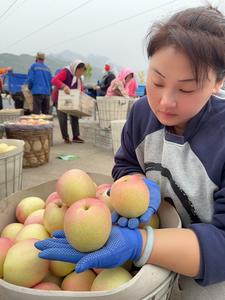 君美农场头像