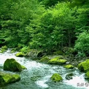 李保成头像