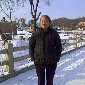 香菇专家1头像