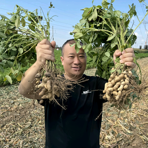 农业大鹏（聊城）头像