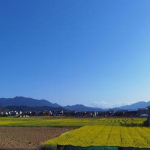 12风和日丽12头像