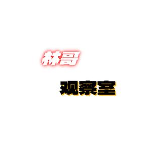 林哥观察室头像