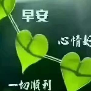 大气星星Yq头像
