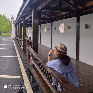 随性自由的香瓜vJ头像