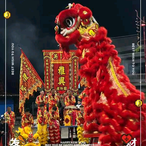 雅兴醒狮团头像