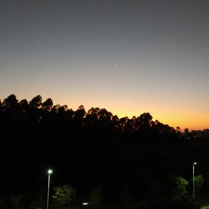 自由的风筝 头像