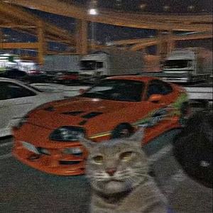 Lū头像