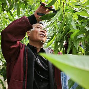 全中唐老师果园管理头像