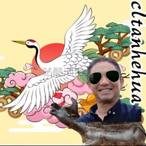 he言hua语论春秋头像