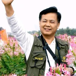 聪慧饺子XNn头像